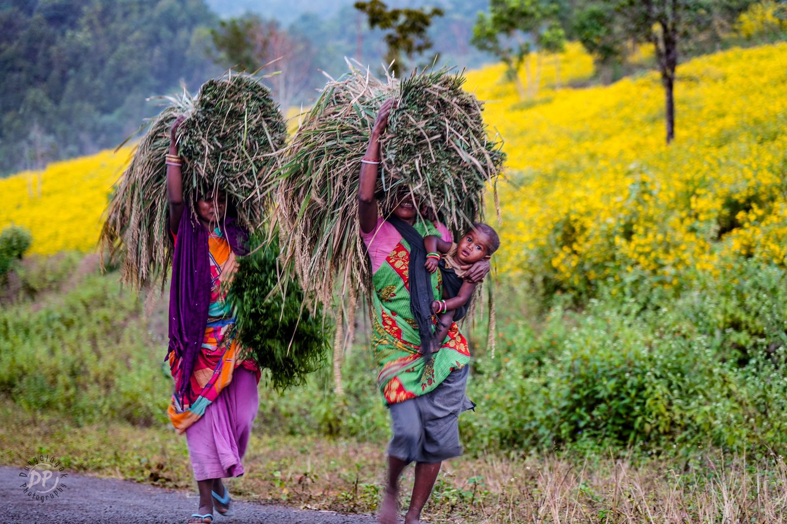 bg_sec_img_IBHRO008_mp